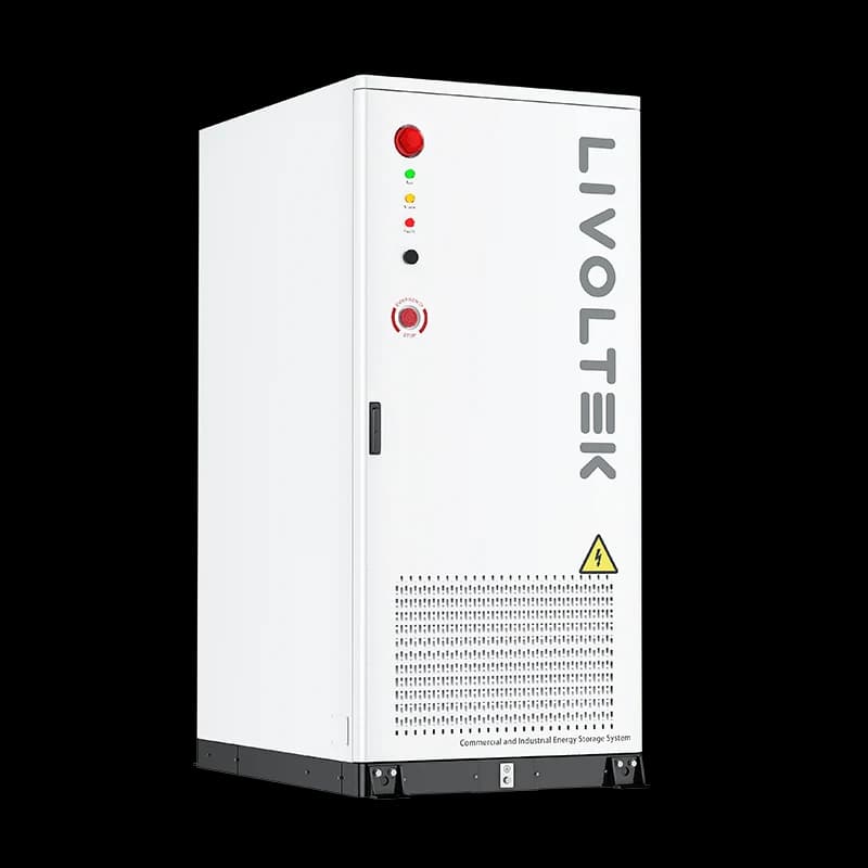 Livoltek C&I ESS 125kW / 261kWh, 380-400V, IP55 — cabinet view (official series photograph)