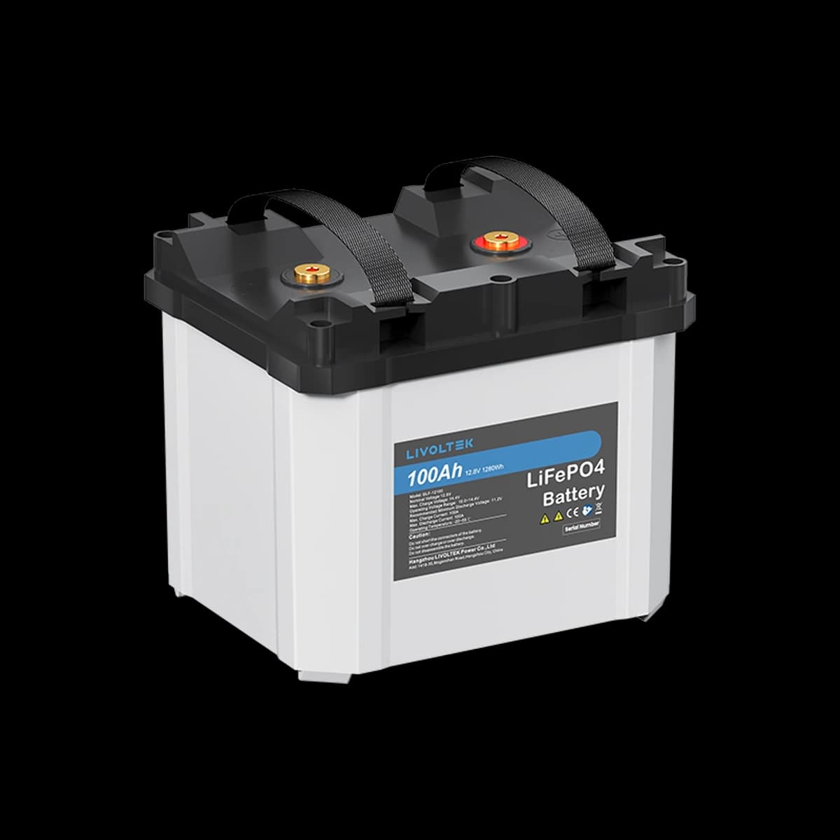 Livoltek LV LiFePO4 Battery 1.2kWh, 12V 100Ah — left view (official series photograph)