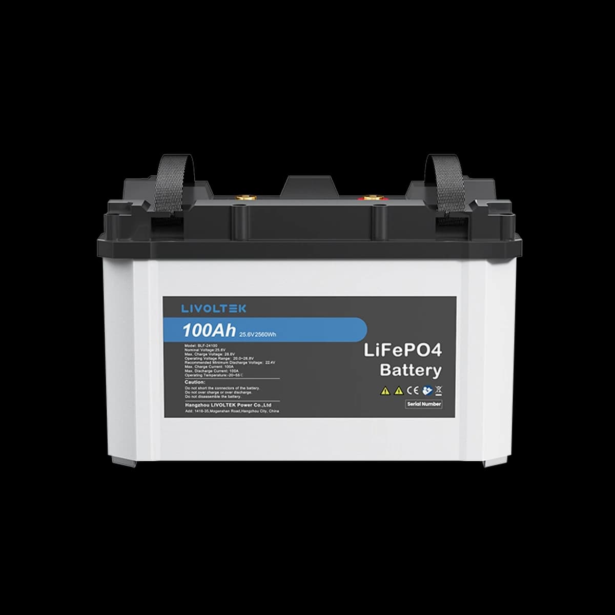 Livoltek LV LiFePO4 Battery 2.4kWh, 24V 100Ah — front view (official series photograph)